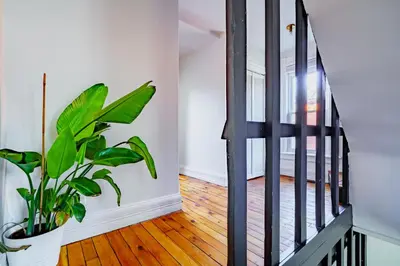 a hallway with a staircase with a potted plant at Jungle House Luxury Homes - Columbus Downtown Short North - Steps to Convention Center & Nationwide Arena - Sleeps up to 11 - Free Parking - Over 5,800 Five Stars in Columbus