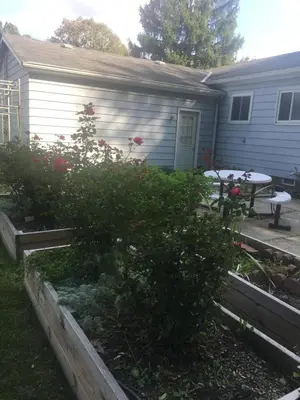 a garden in front of a house with a picnic table at Home Sweet Home in Solon