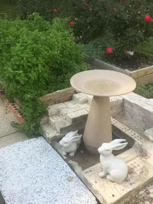 two white rabbits sitting next to a table at Home Sweet Home in Solon