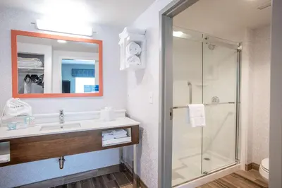 a bathroom with a sink and a shower at Hampton Inn Richwood Cincinnati South, KY in Richwood