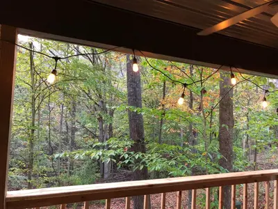 a view of a forest from a porch with lights at Avenwood Cabins in Logan