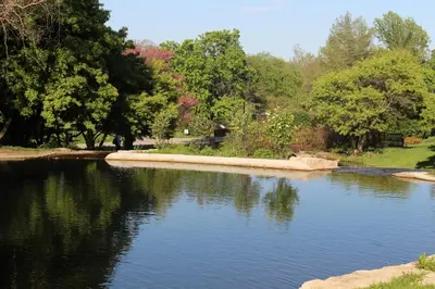 a pond in a park with trees in the background at Chic 2BR near DT, 8 min walk to Park&Conservatory in Columbus