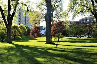 a park with trees and green grass and buildings at Modern 2BR near DT, 8min walk to Park&Conservatory in Columbus