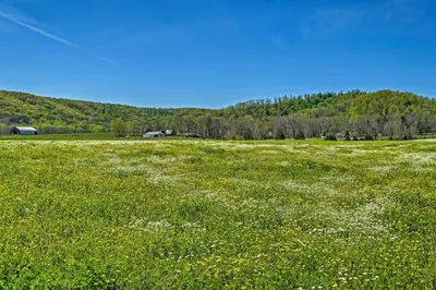 a field full of flowers in a field of grass at Renovated KY Farmhouse Retreat with Pasture Views! in Wallingford