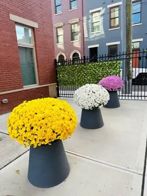 three vases with flowers in them on a sidewalk at **NEW mOdernLUX best OTR condo *Park ONsite** in Cincinnati