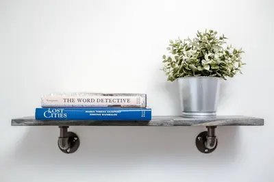 a shelf with books and a potted plant at Newly Renovated(6A) OSU/ExpoCenter Near EVERYTHING! in Columbus