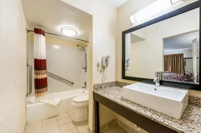 a bathroom with a sink and a toilet and a mirror at Red Roof Inn Marion, IN in Marion