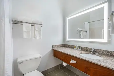 a bathroom with a toilet and a sink and a mirror at Country Inn & Suites by Radisson, Pickerington, OH in Pickerington