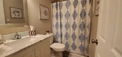 a bathroom with a toilet and a shower curtain at A great newly renovated place to stay in Franklin in Franklin
