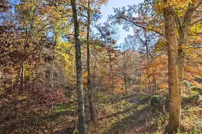 a wooded area with trees in the fall at Luxe Dog-Friendly Cabin with Hot Tub and Game Room in Logan