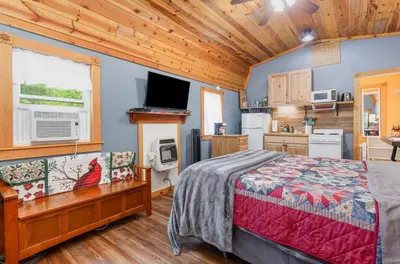 a bedroom with a bed and a tv in a room at Acorn Cottage at Hocking Vacations in Logan