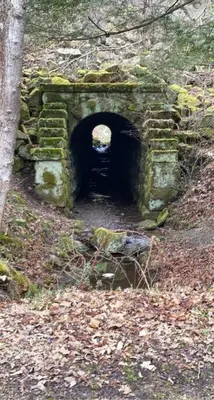 a stone tunnel in the middle of a forest at Sheppard's Holler in Parsley