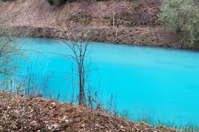 a blue pond with a small tree in the middle at Sheppard's Holler in Parsley