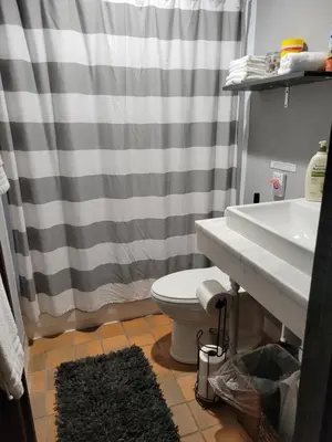 a bathroom with a sink and a toilet and a shower curtain at Spacious Industrial split level with a Balcony in Cincinnati