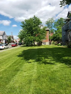 a large green lawn with a tree in the middle at Fresh Modern Industrial split level in Cincinnati