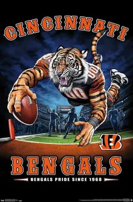 a poster of a tiger catching a football at Modern style and comfort near UC in Cincinnati