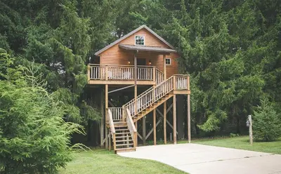 a tree house with a deck and a staircase at Lofty Willows Treehouse by Amish Country Lodging in Millersburg