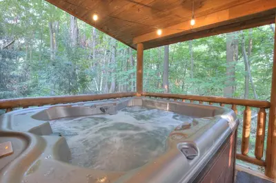 a jacuzzi tub in a cabin in the woods at Grapevine Cabin by Amish Country Lodging in Millersburg