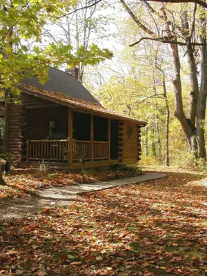 a log cabin in the woods with leaves on the ground at Grapevine Cabin by Amish Country Lodging in Millersburg