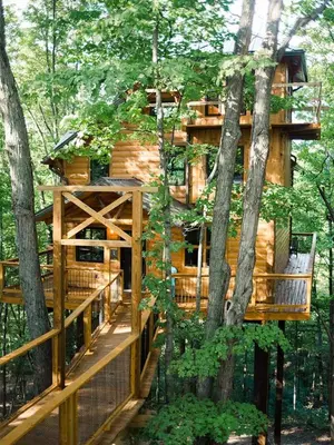 a tree house in the woods with a deck at Treehouse #1 by Amish Country Lodging in Millersburg
