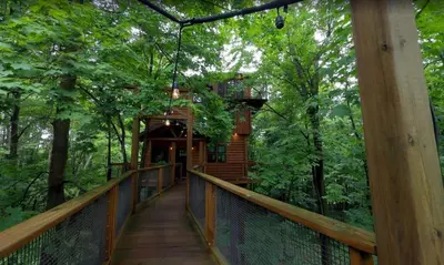 a walkway leading to a tree house in the woods at Treehouse #3 by Amish Country Lodging in Millersburg