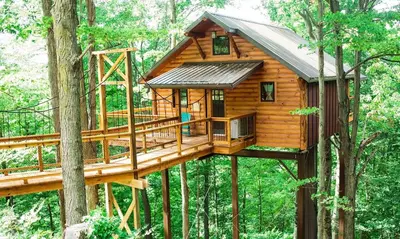 a tree house in the middle of the forest at Treehouse #6 by Amish Country Lodging in Millersburg