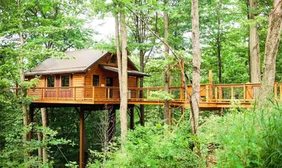 a tree house in the middle of the forest at Treehouse #6 by Amish Country Lodging in Millersburg