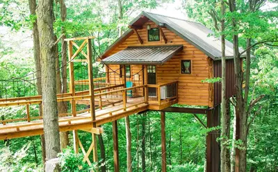 a tree house in the middle of the forest at Treehouse #5 by Amish Country Lodging in Millersburg