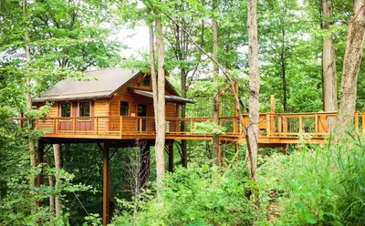 a tree house in the middle of the forest at Treehouse #5 by Amish Country Lodging in Millersburg