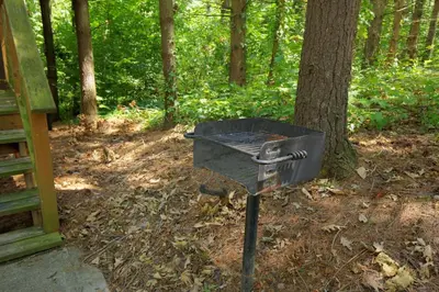 a grill sitting next to a tree in the woods at Wild Cherry Treehouse by Amish Country Lodging in Millersburg