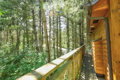 a wooden walkway on a cabin in the woods at Wild Cherry Treehouse by Amish Country Lodging in Millersburg