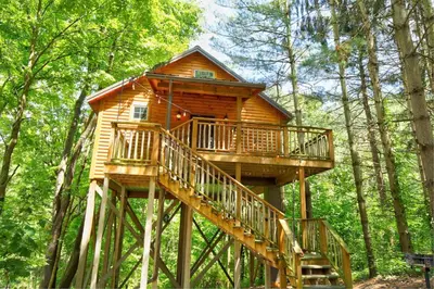 a tree house in the middle of the forest at Wild Cherry Treehouse by Amish Country Lodging in Millersburg