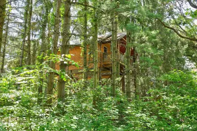 a tree house in the middle of the forest at Wild Cherry Treehouse by Amish Country Lodging in Millersburg