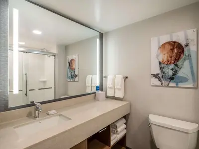 a bathroom with a sink and a toilet and a mirror at Homewood Suites By Hilton Toledo Downtown in Toledo