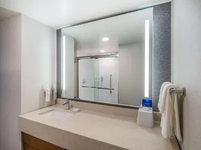 a bathroom with a sink and a large mirror at Homewood Suites By Hilton Toledo Downtown in Toledo