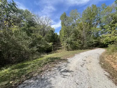 a dirt road with trees on either side at Rock Stalls Lodge in Logan