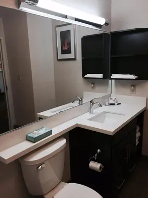 a bathroom with a sink and a toilet and a mirror at Candlewood Suites Youngstown W - I-80 Niles Area by IHG in Austintown