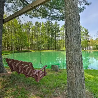 The Red Pine Cabin with Private Pond and Dock!