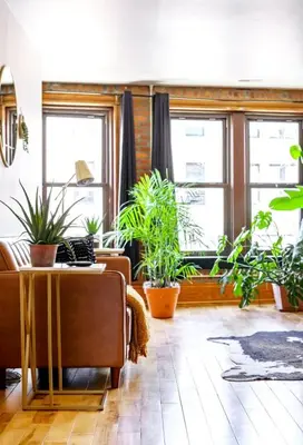 a living room with potted plants and a couch at Jungle House Luxury Homes - Columbus Downtown Short North - Walk to Convention Center & Nationwide Arena - Sleeps up to 10 - Free Parking - Over 5,800 Five Stars in Columbus
