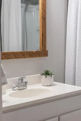a bathroom sink with a mirror and a plant on it at Farmhouse of Blessings in Dundee