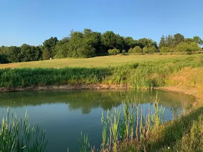 a pond in the middle of a field at Serene 6BR country home on 325 acres ATV for rent in Burgettstown
