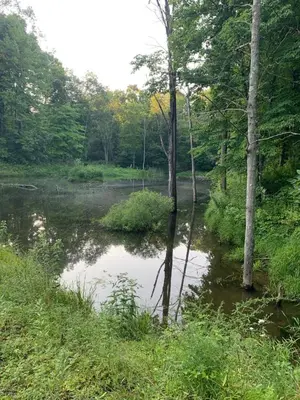 a pond in the middle of a forest at Serene 6BR country home on 325 acres ATV for rent in Burgettstown