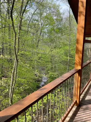 a porch of a cabin with a view of a river at Cricket Hill Treehouse by Amish Country Lodging in Millersburg