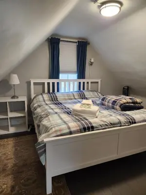 a bedroom with a white bed with blue curtains at Historic Comfy German Village Haus sleeps6petsOK in Columbus