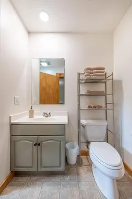 a bathroom with a toilet and a sink at Maple Leaf Cabin in Millersburg