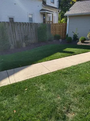 a sidewalk in a yard next to a house at Family Friendly JUST LIKE HOME in Cleveland