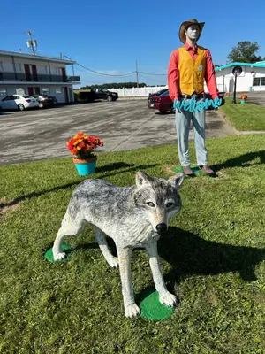 a statue of a wolf standing in the grass at Motel Boutique by Wolf Inn in Milan