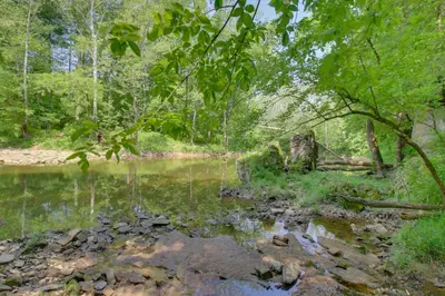 a stream in a wooded area with a body of water at Riverside Cabin with 3 Decks in North Vernon! in North Vernon