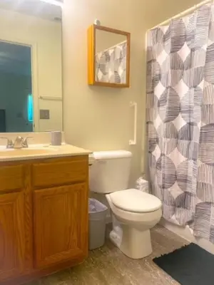a bathroom with a toilet and a shower curtain at 240 Overbrook NEW Franks funky and fashionable furnished home in Monroe