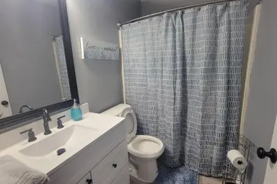 a bathroom with a toilet and a shower curtain at 160 Overbrook 3 bedroom home with privately fenced yard and hot tub in Monroe